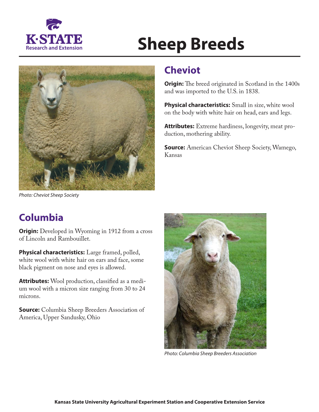 MF3525 Sheep Breeds