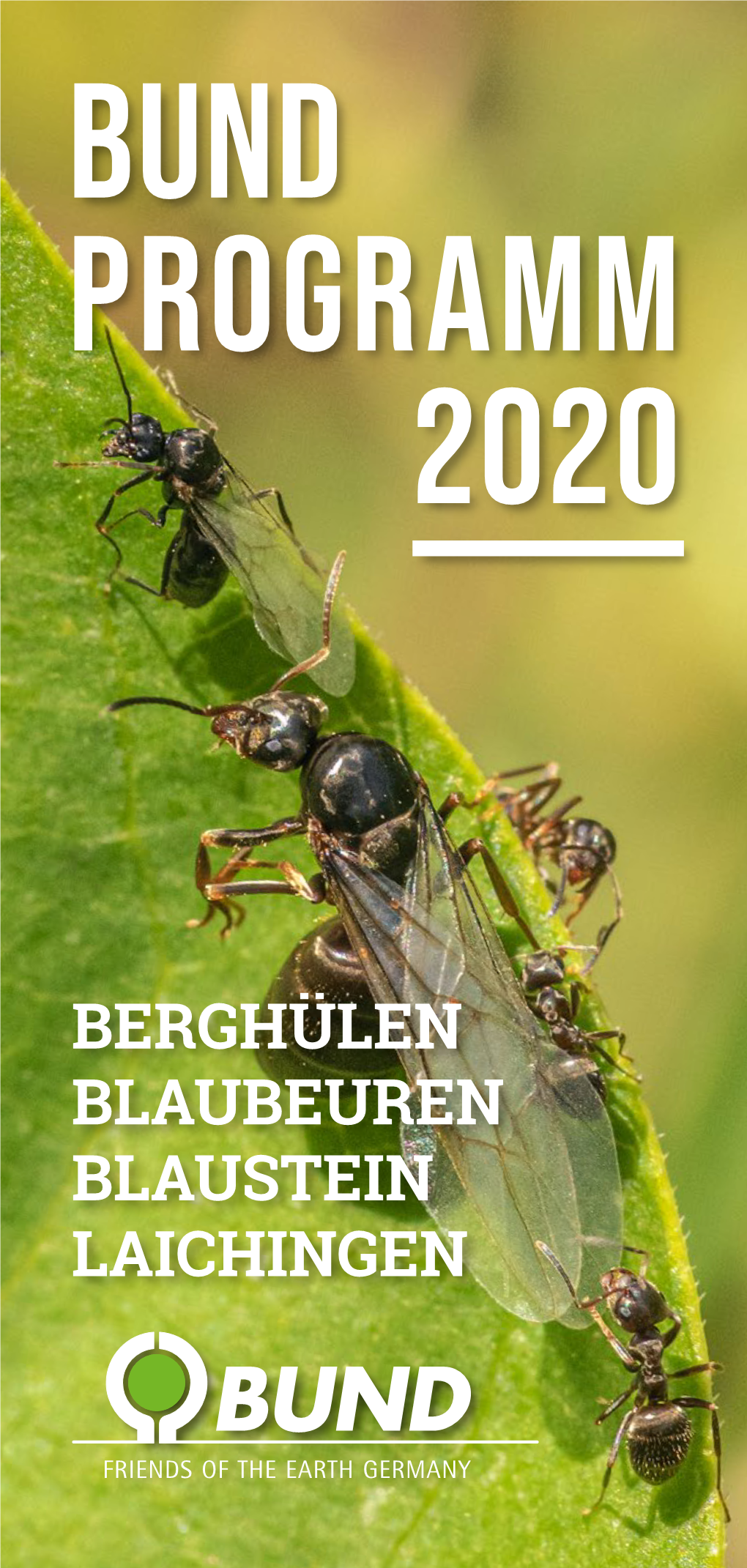 Bund Programm 2020