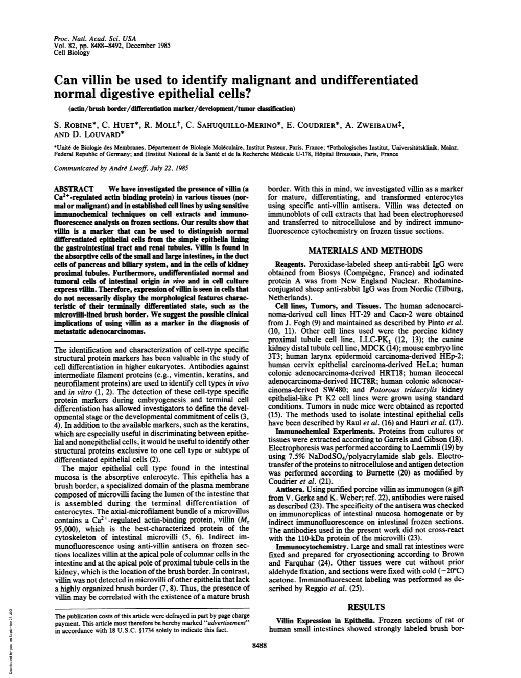 Can Villin Be Used to Identify Malignant and Undifferentiated