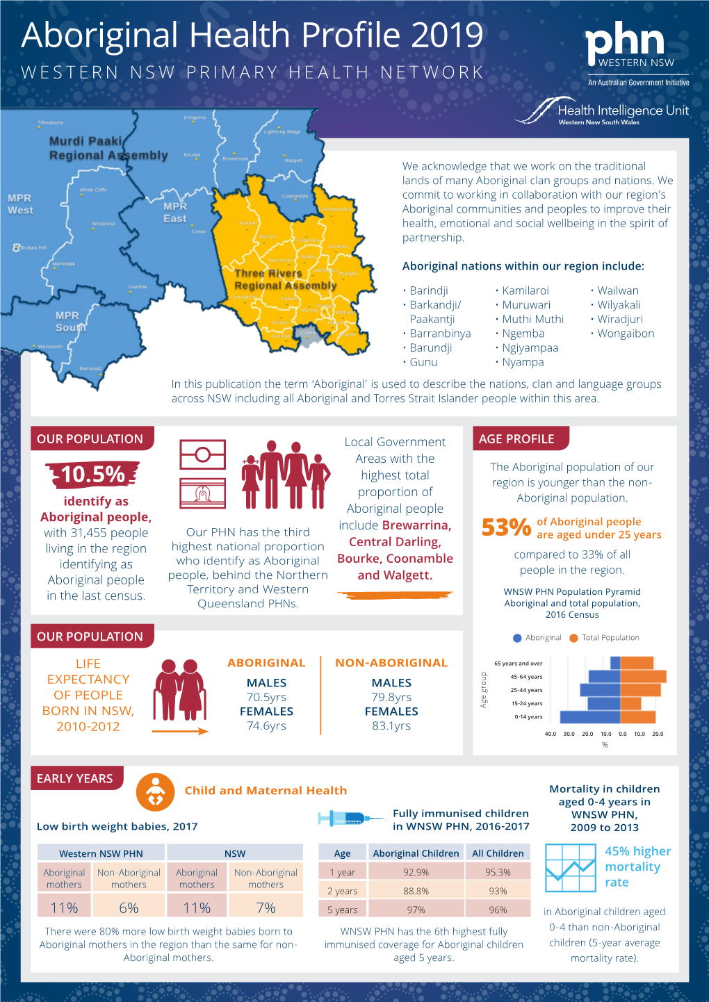 Wnsw Phn 2019 Aboriginal Health Profile