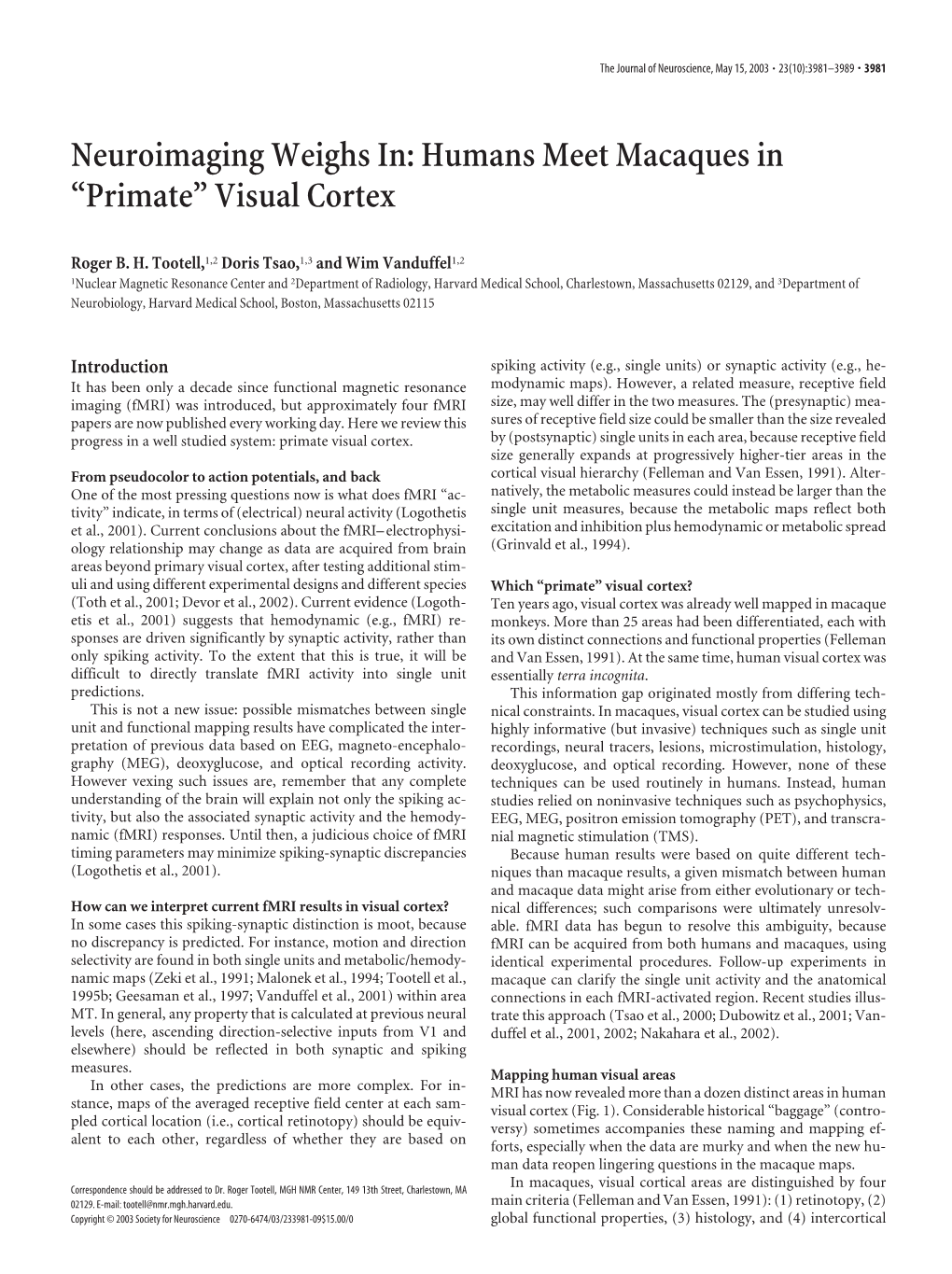 “Primate” Visual Cortex