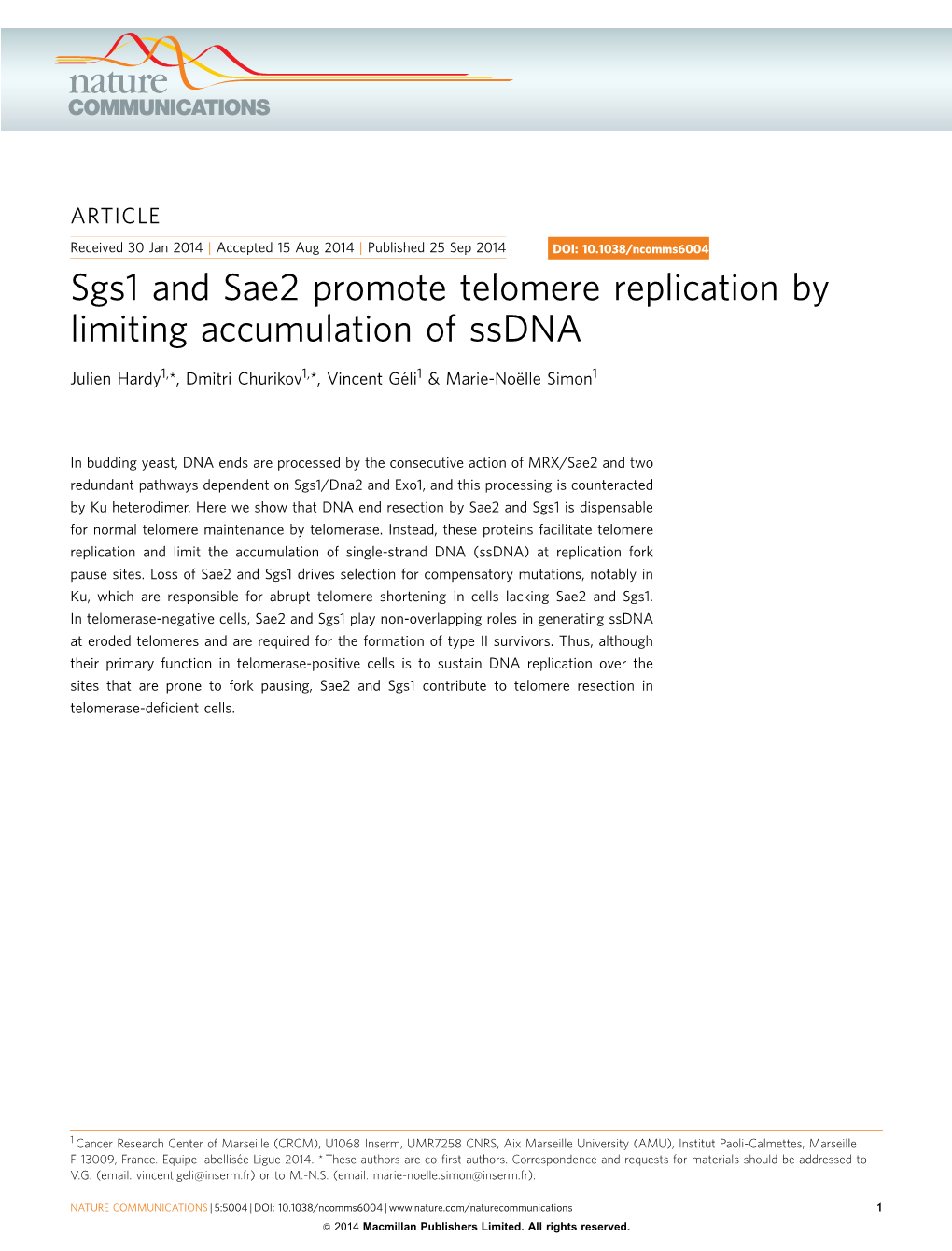 Sgs1 and Sae2 Promote Telomere Replication by Limiting Accumulation of Ssdna
