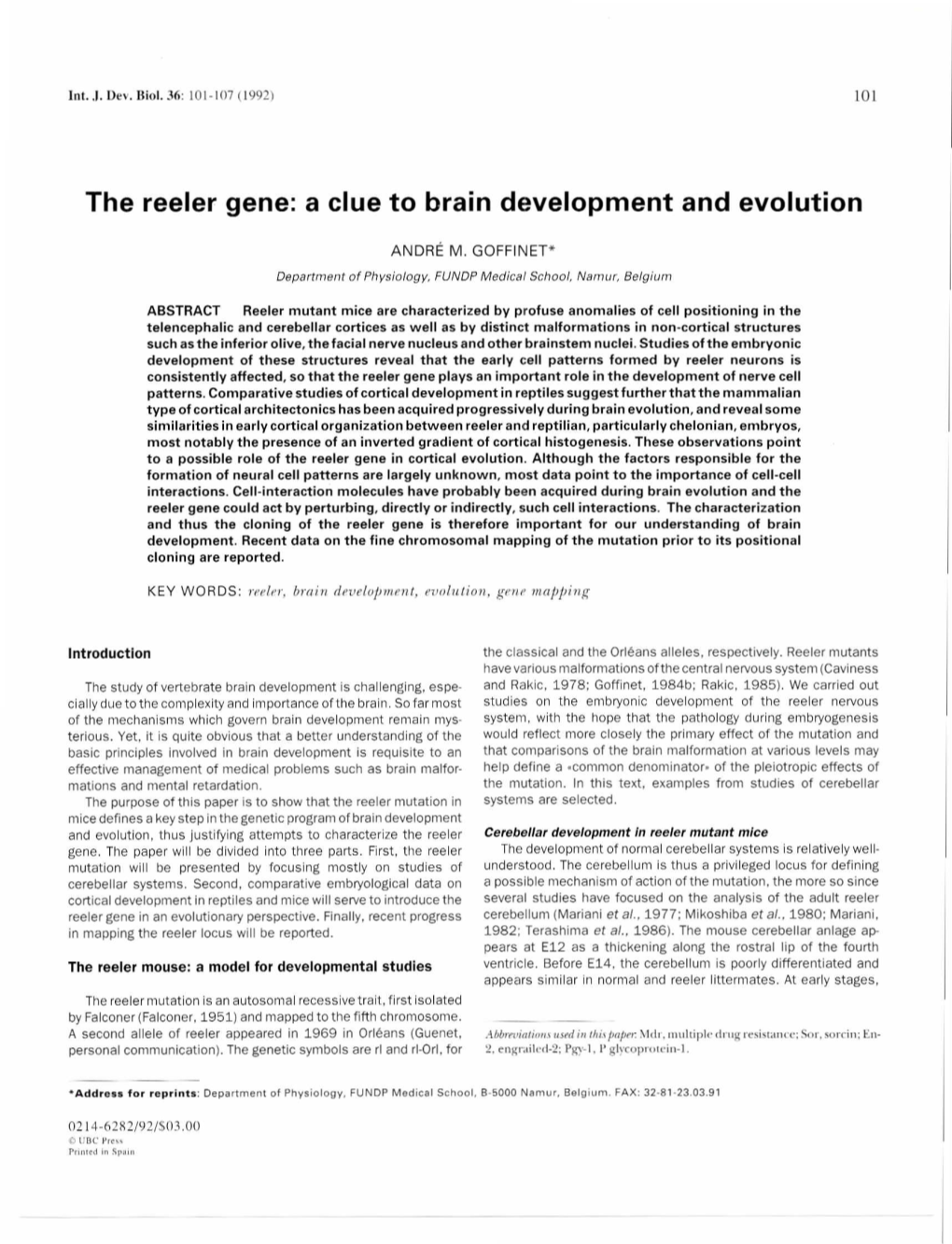 The Reeler Gene: a Clue to Brain Development and Evolution