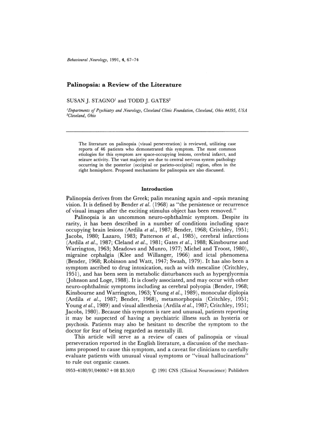 Palinopsia: a Review of the Literature