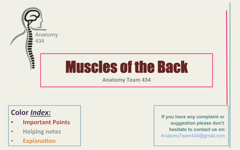 Muscles of the Back Anatomy Team 434