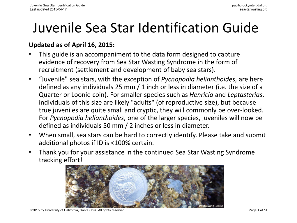 Juvenile Sea Star Identification Guide