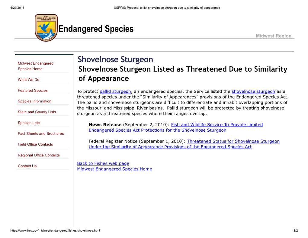 Shovelnose Sturgeon Listed As Threatened Due to Similarity of Appearance
