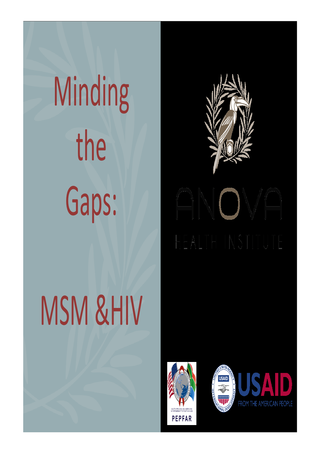 Minding the Gaps: MSM And