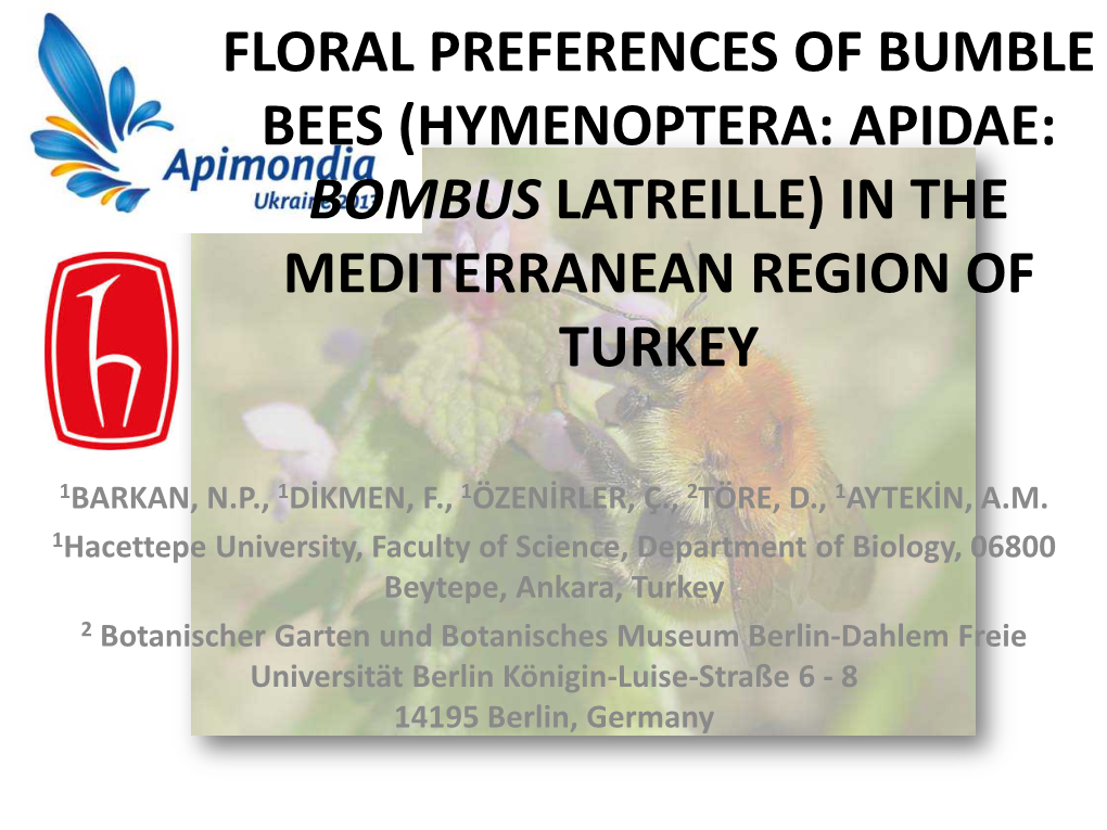 Floral Preferences of Bumble Bees (Hymenoptera: Apidae: Bombus Latreille) in the Mediterranean Region of Turkey