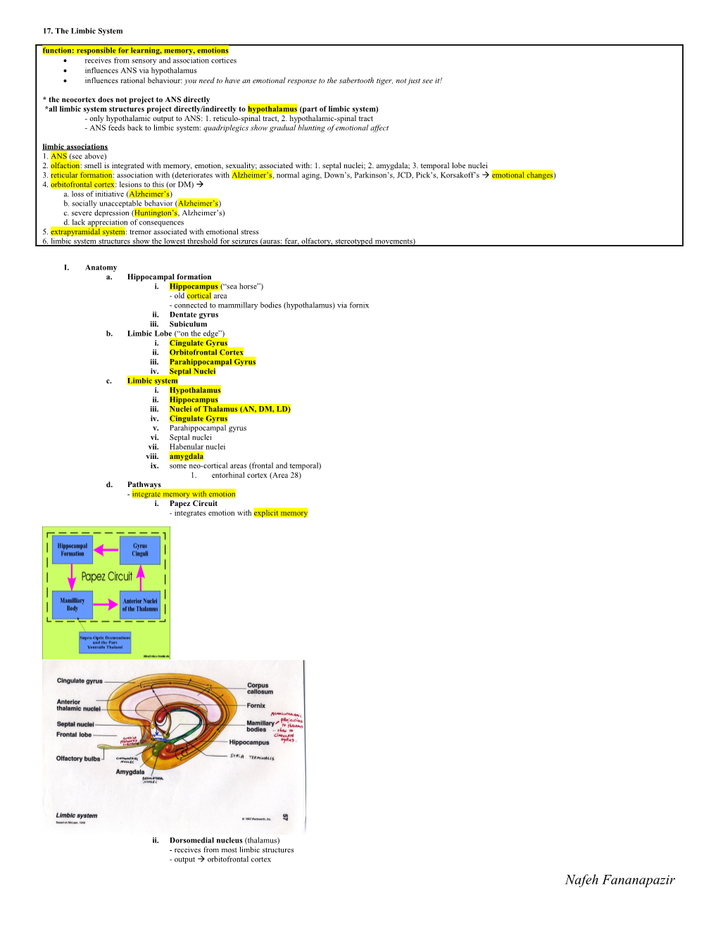 17. the Limbic System