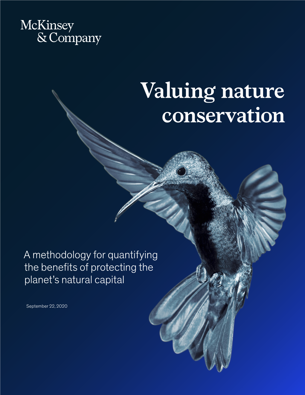 Valuing Nature Conservation Report
