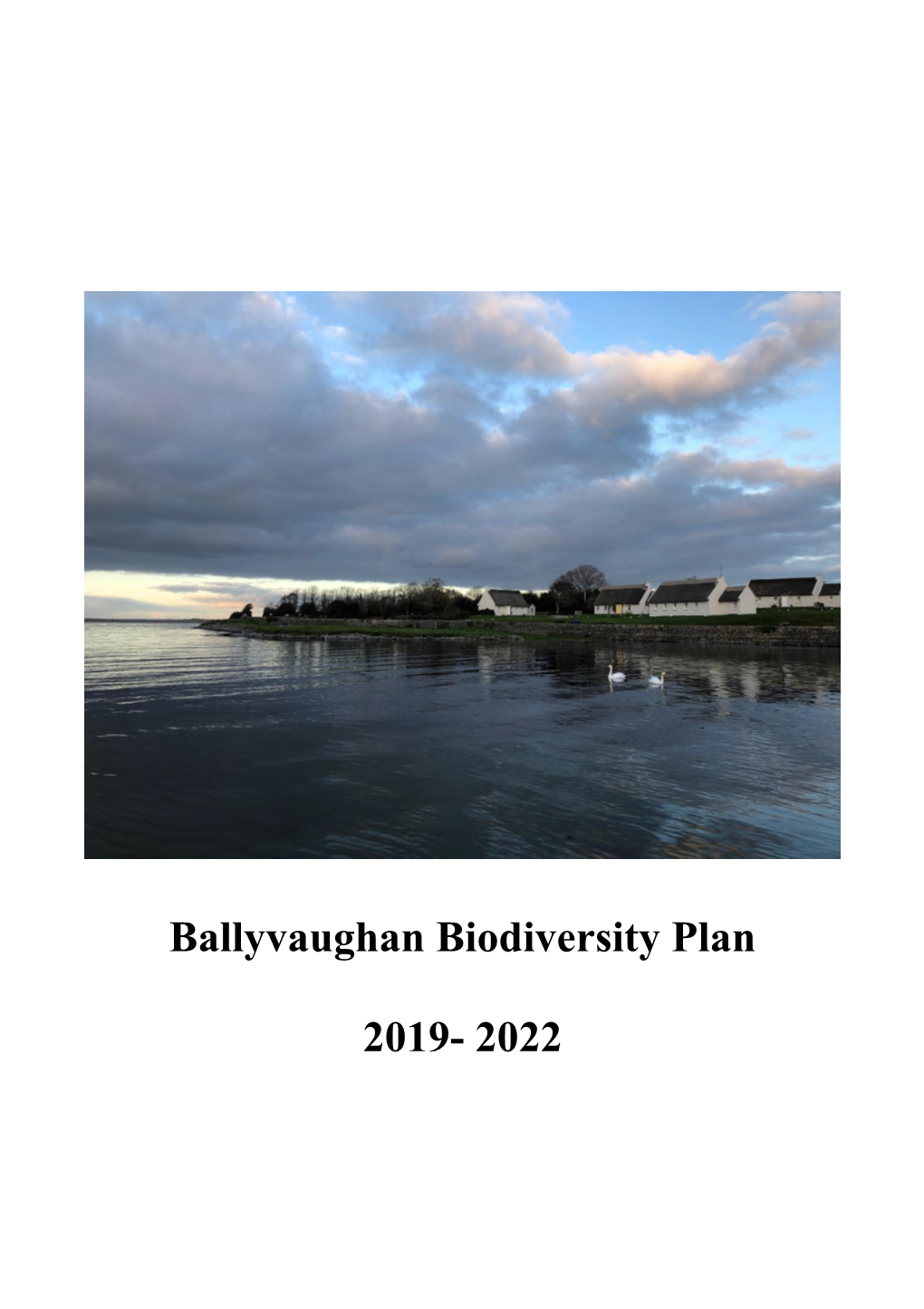 Ballyvaughan Biodiversity Plan 2019