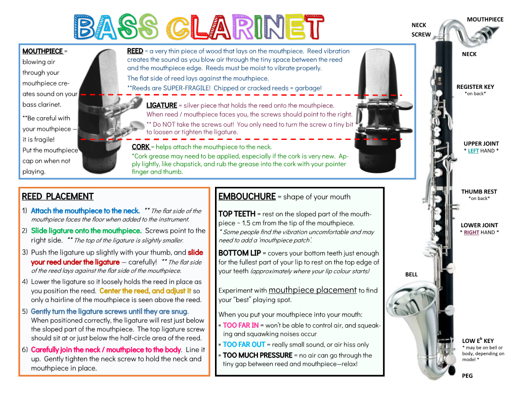 Bass Clarinet Screw