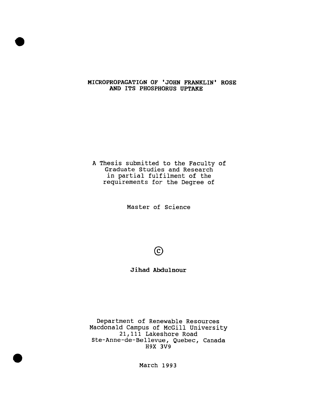 John Franklin' Rose and Its Phosphorus Uptake