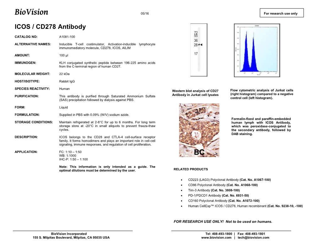 A1081-ICOS / CD278 Antibody