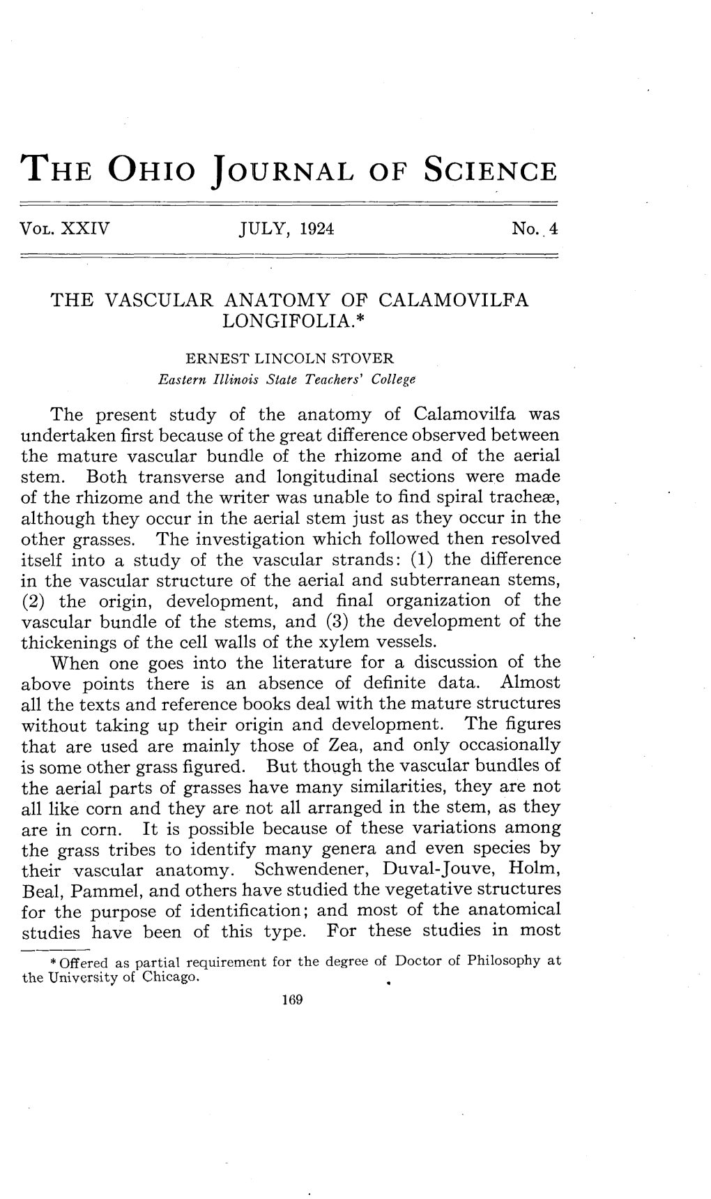 The Vascular Anatomy of Calamovilfa Longifolia.*