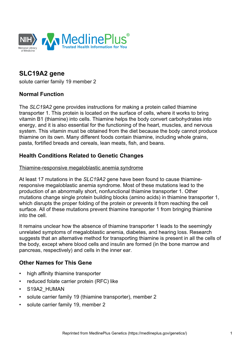 SLC19A2 Gene Solute Carrier Family 19 Member 2