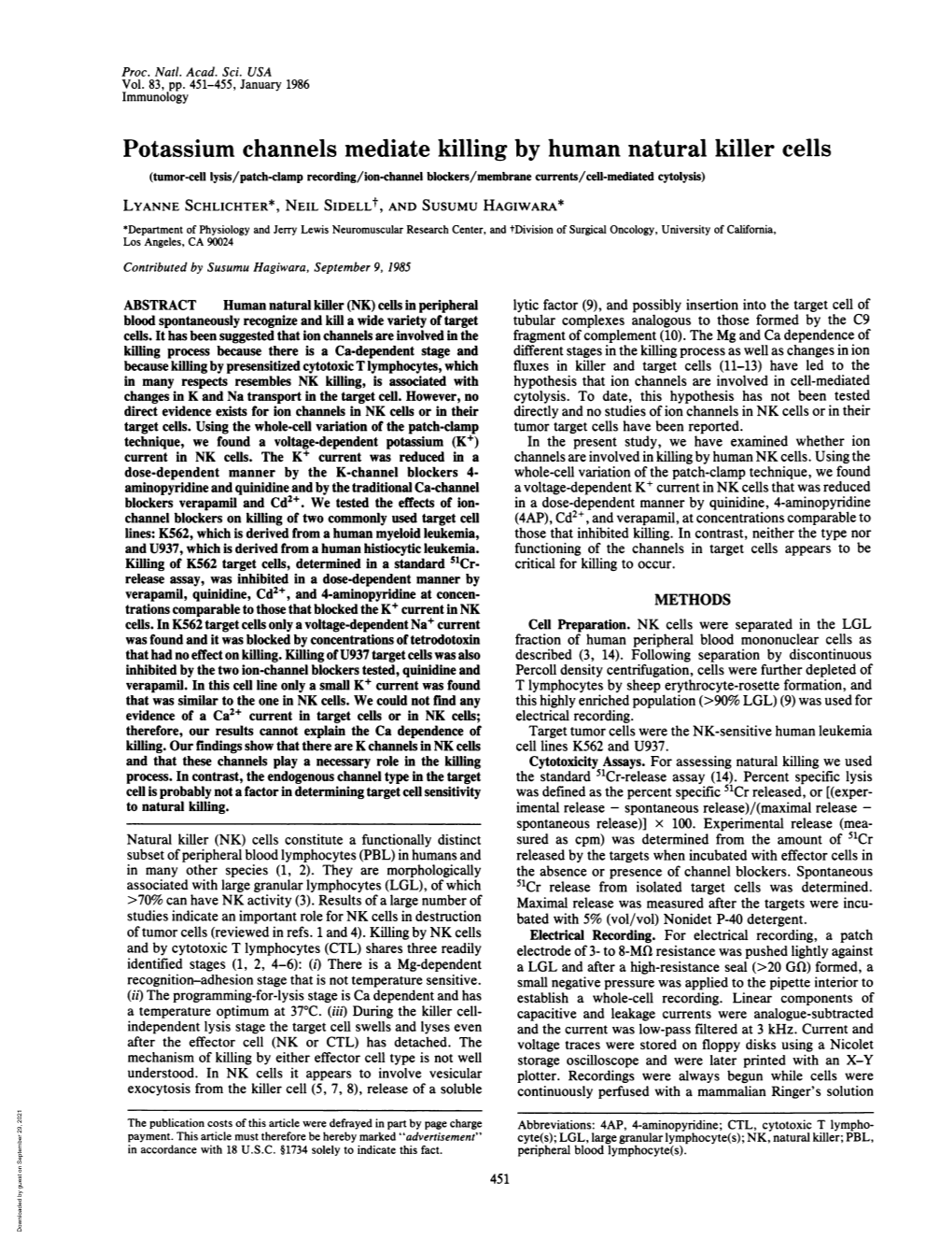 Potassium Channels Mediate Killing by Human Natural Killer Cells