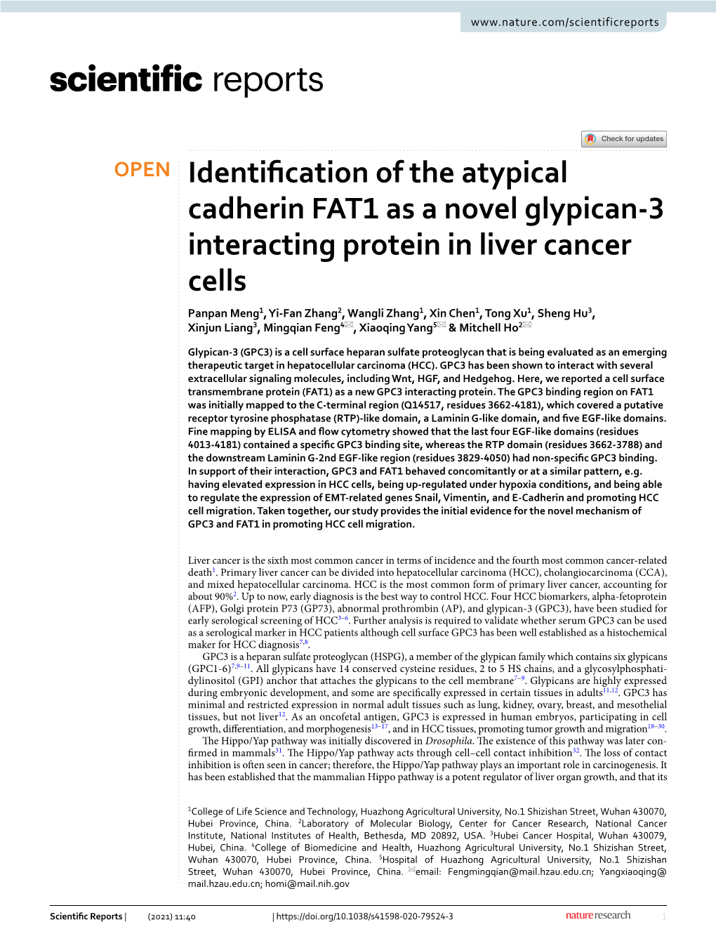 Identification of the Atypical Cadherin FAT1 As a Novel Glypican-3 Interacting Protein in Liver Cancer Cells