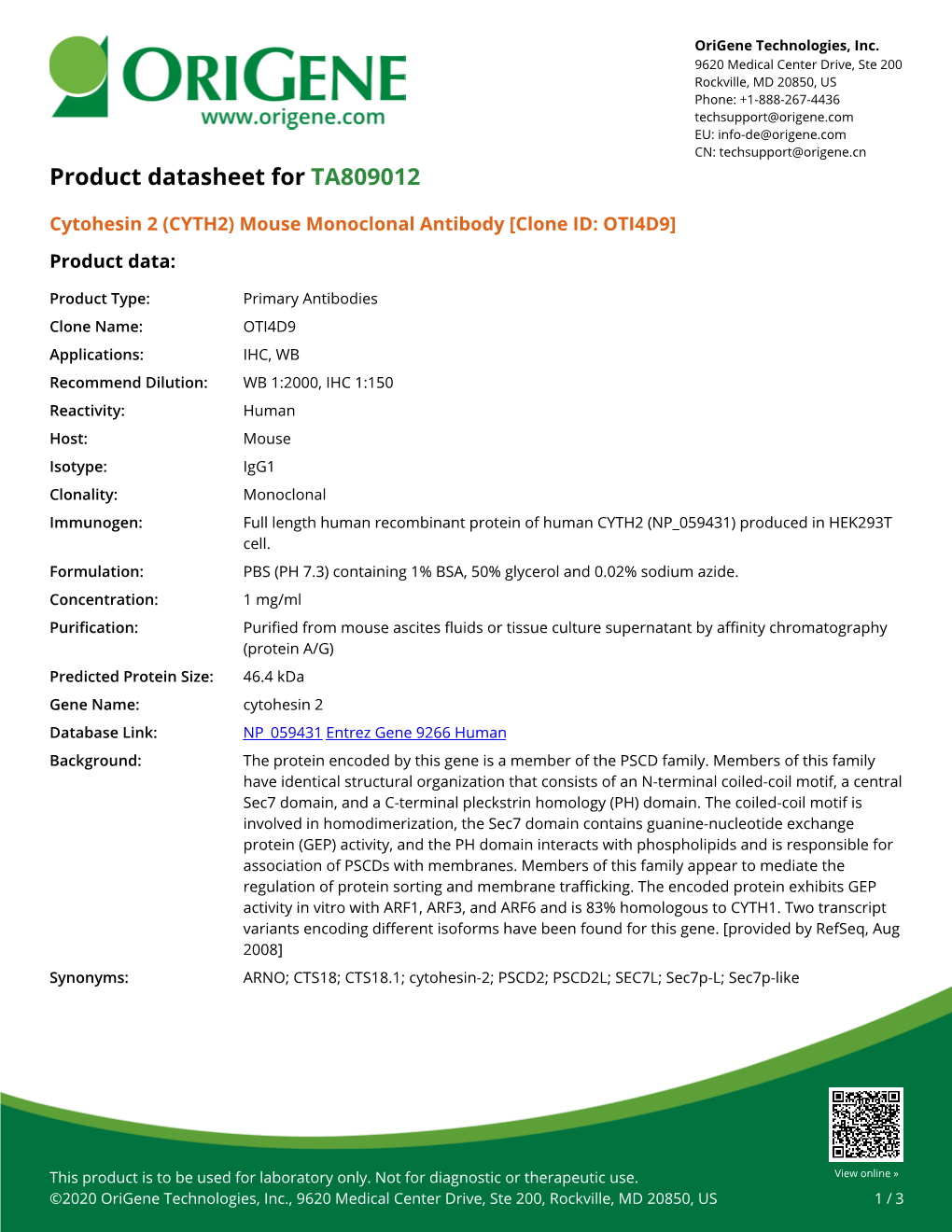 Cytohesin 2 (CYTH2) Mouse Monoclonal Antibody [Clone ID: OTI4D9] Product Data