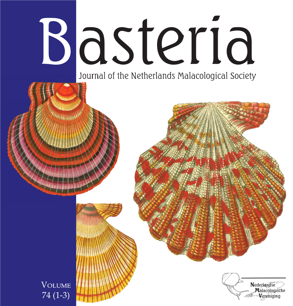 New Insights in the Phylogenetic Relations Within the Orthalicoidea (Gastropoda, Stylommatophora) Based on 28S Sequence Data