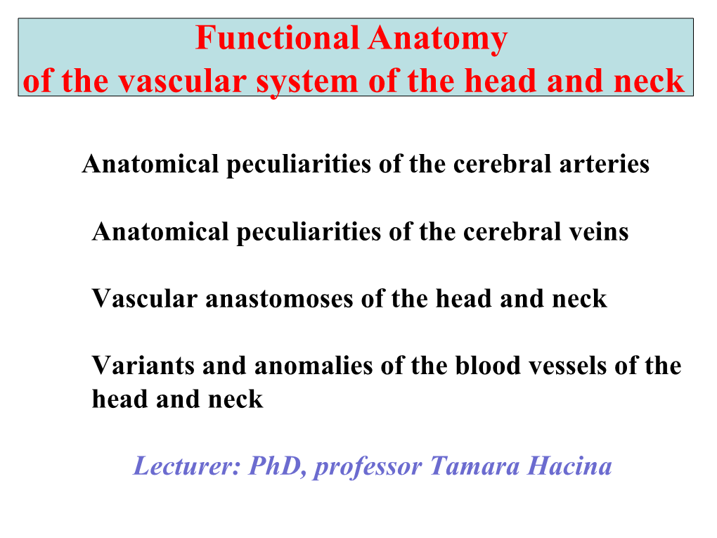 Functional Anatomy of the Vascular System of the Head and Neck