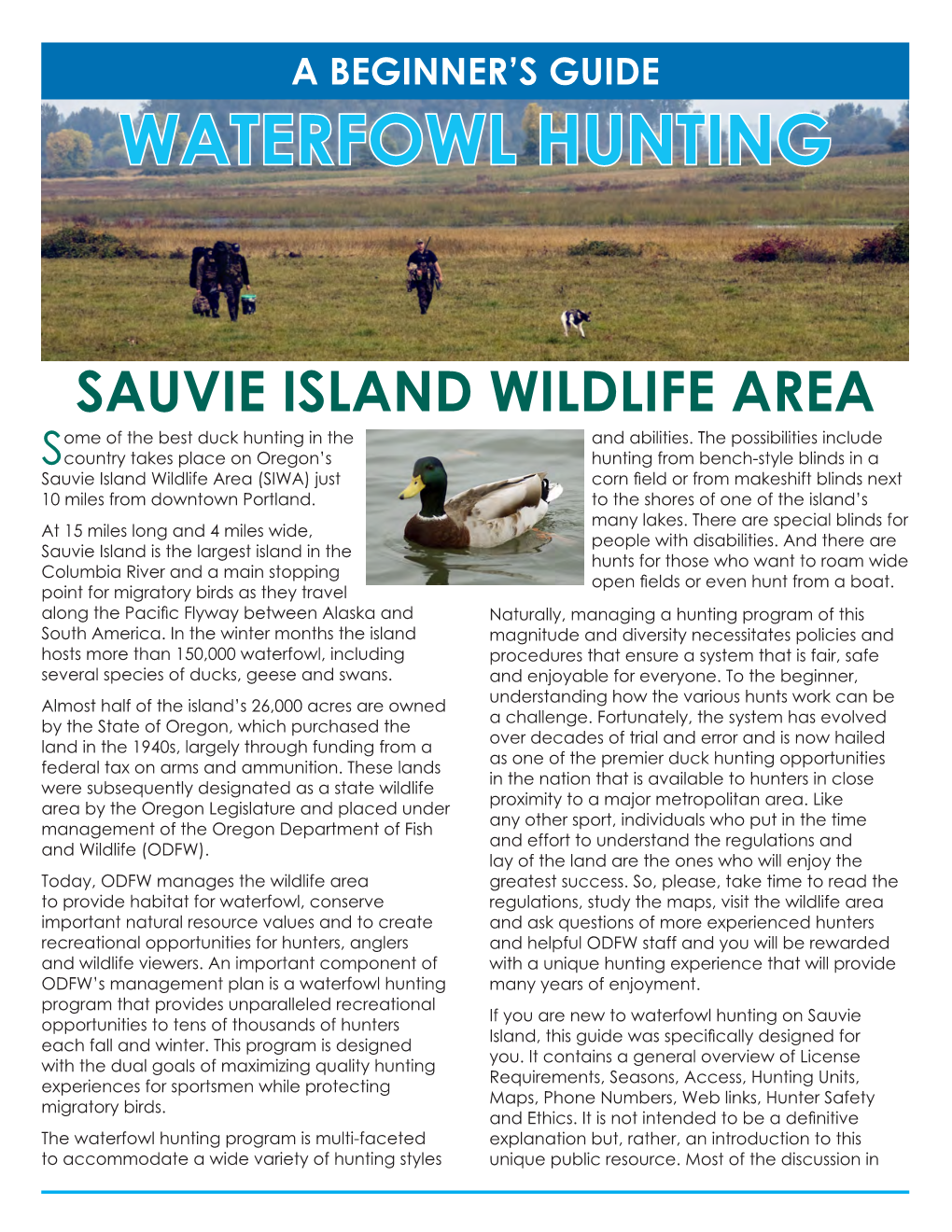 Sauvie Island Waterfowl Hunting