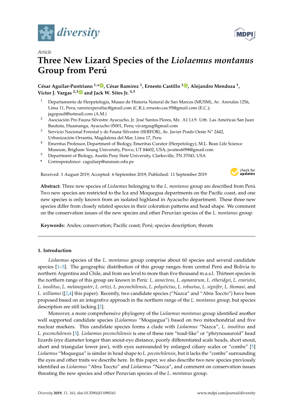 Three New Lizard Species of the Liolaemus Montanus Group from Perú