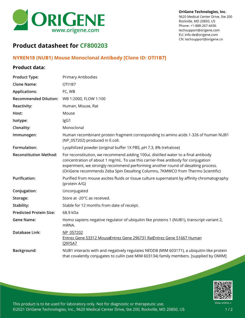 NYREN18 (NUB1) Mouse Monoclonal Antibody [Clone ID: OTI1B7] Product Data