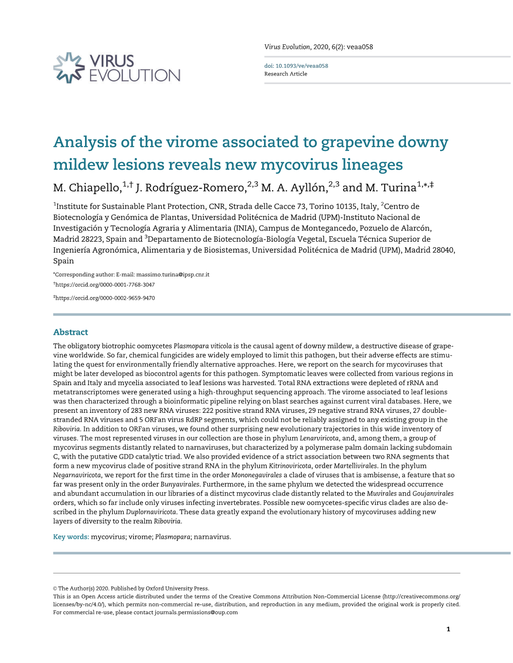 Analysis of the Virome Associated to Grapevine Downy Mildew Lesions Reveals New Mycovirus Lineages M