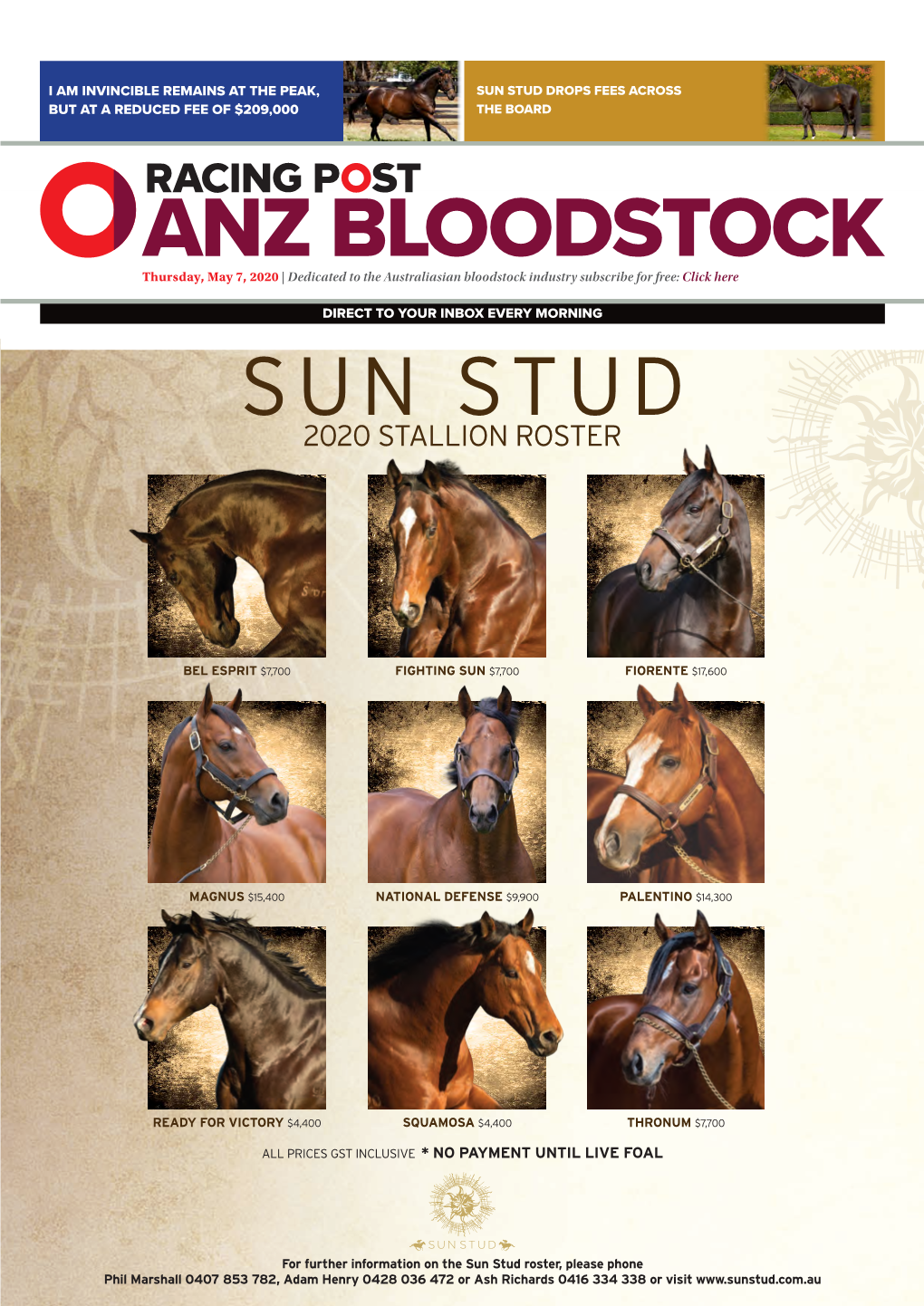 Sun Stud Drops Fees Across but at a Reduced Fee of $209,000 the Board