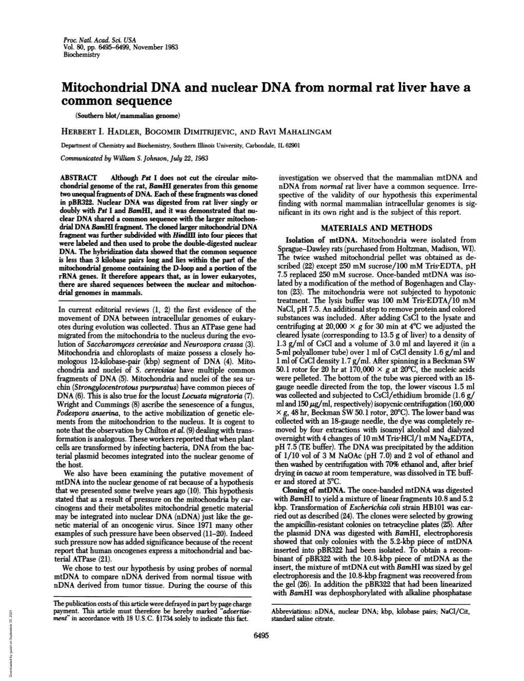 Mitochondrial DNA and Nuclear DNA from Normal Rat Liver Have a Common Sequence (Southern Blot/Mammalian Genome) HERBERT I
