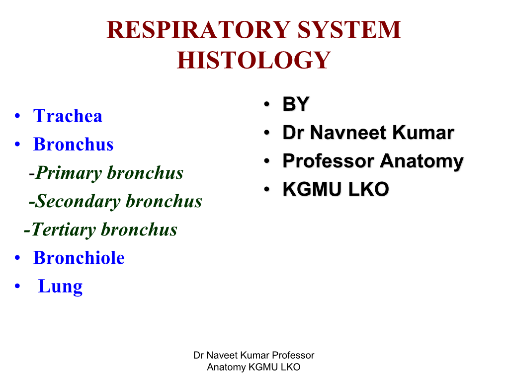 Respiratory System Histology