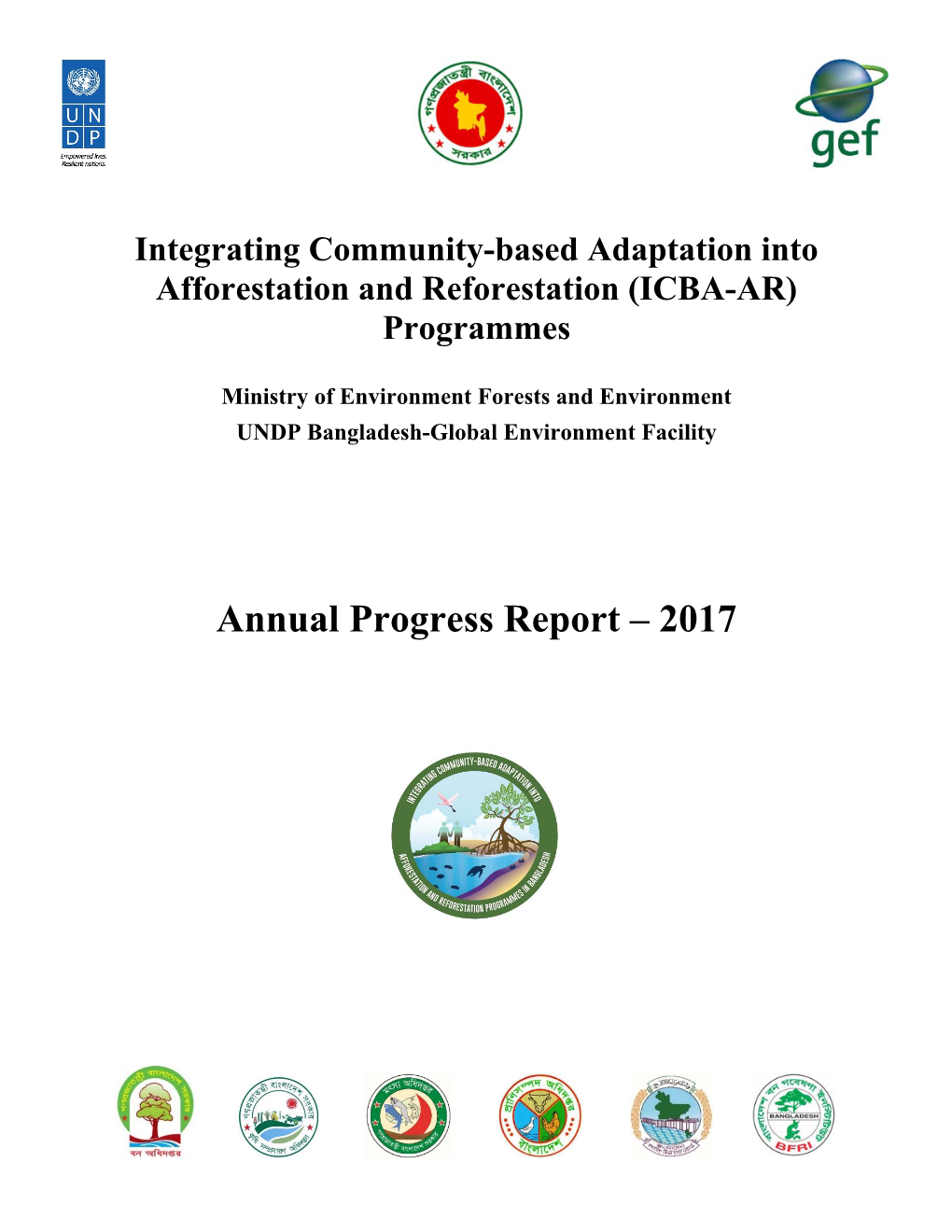 Annual Progress Report – 2017