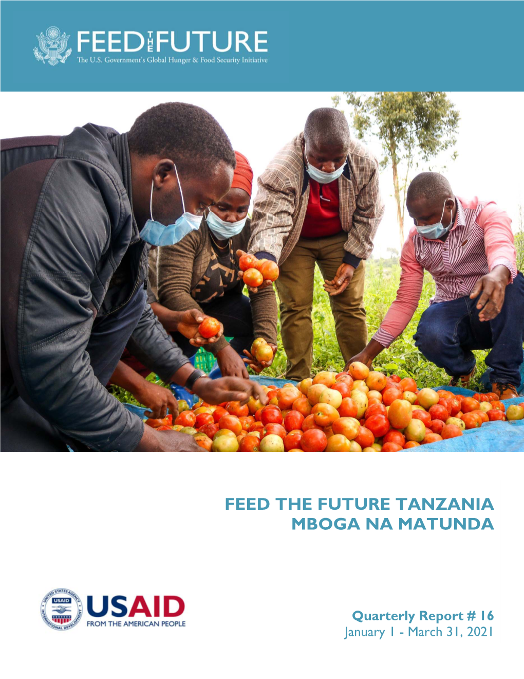 Feed the Future Tanzania Mboga Na Matunda