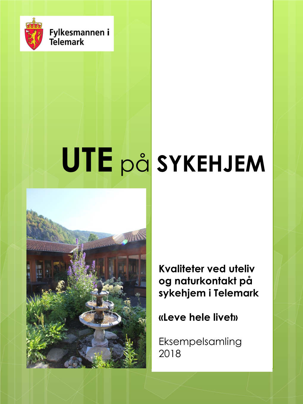 Telemarksrapport UTE På Sykehjem.Pdf