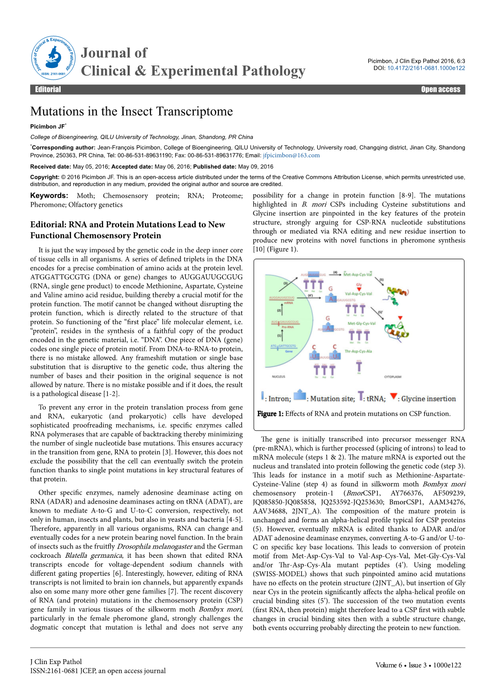 Mutations in the Insect Transcriptome