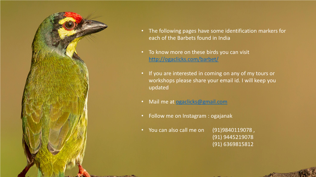 • the Following Pages Have Some Identification Markers for Each of the Barbets Found in India