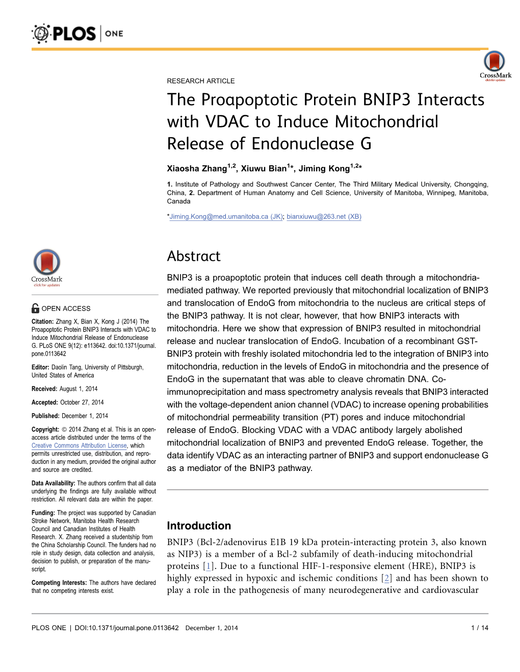 The Proapoptotic Protein BNIP3 Interacts with VDAC to Induce Mitochondrial Release of Endonuclease G