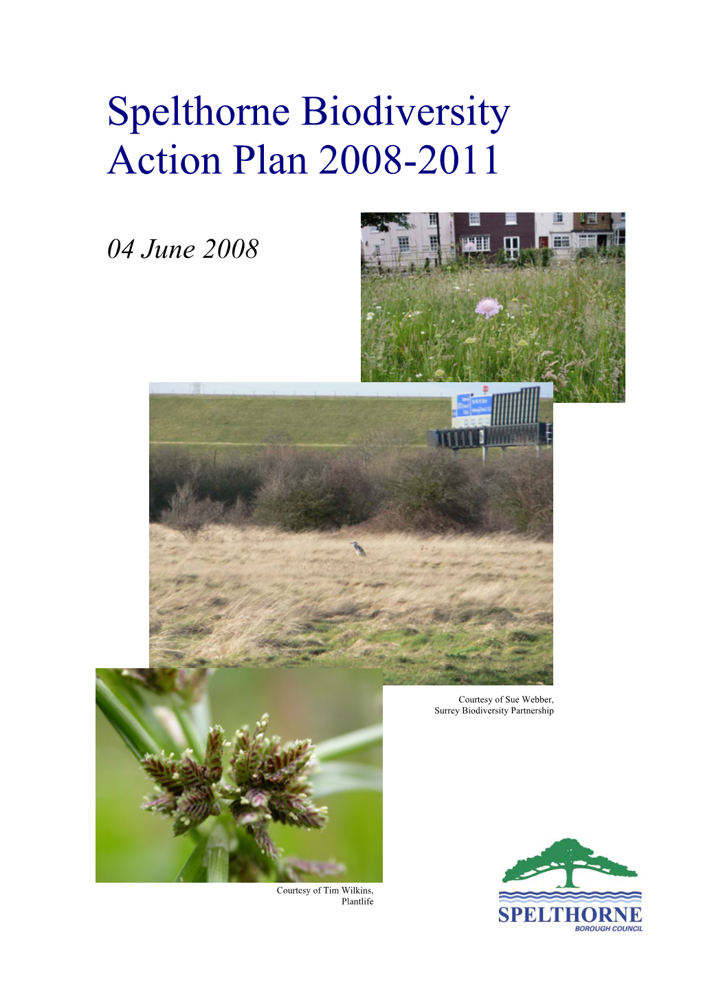 Spelthorne Biodiversity Action Plan 2008-2011