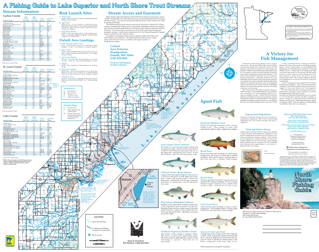 A Fishing Guide to Lake Superior and North Shore Trout Streams