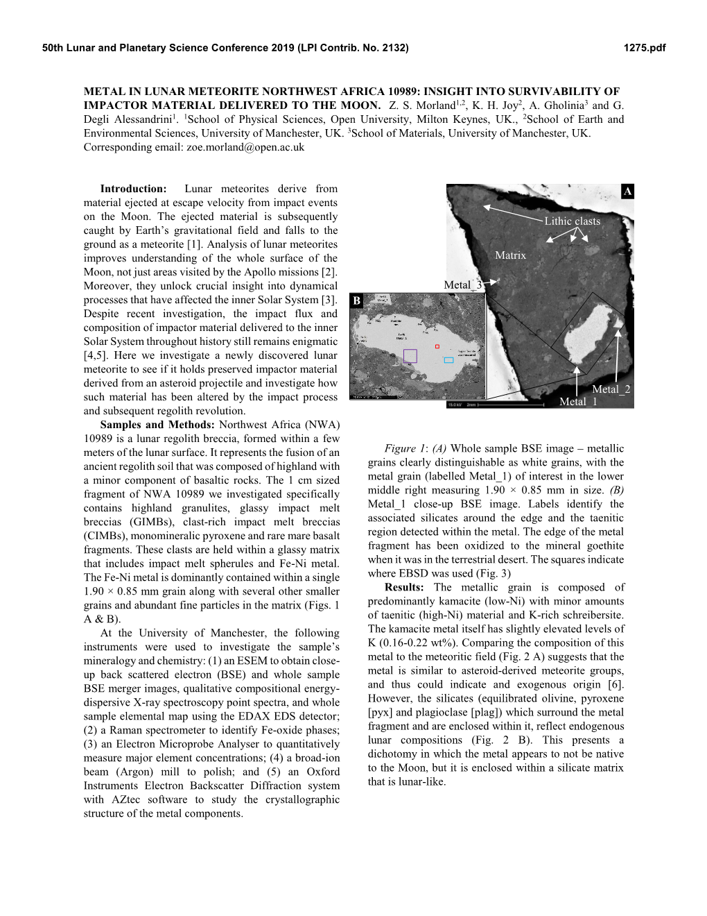 Metal in Lunar Meteorite Northwest Africa 10989: Insight Into Survivability of Impactor Material Delivered to the Moon