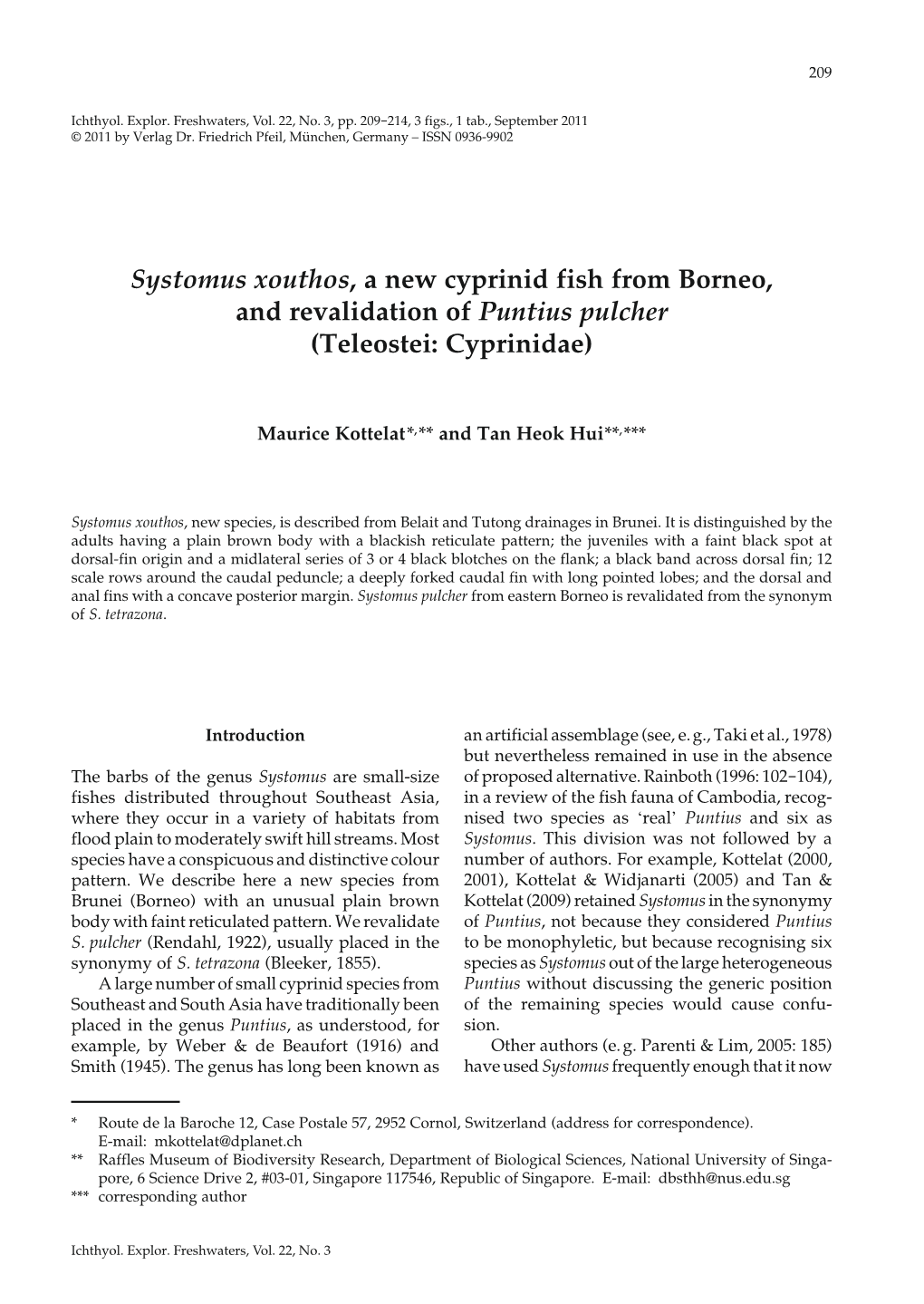 Systomus Xouthos, a New Cyprinid Fish from Borneo, and Revalidation of Puntius Pulcher (Teleostei: Cyprinidae)
