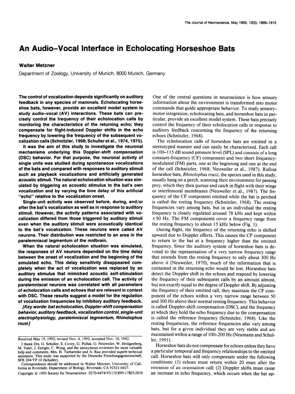 An Audio-Vocal Interface in Echolocating Horseshoe Bats