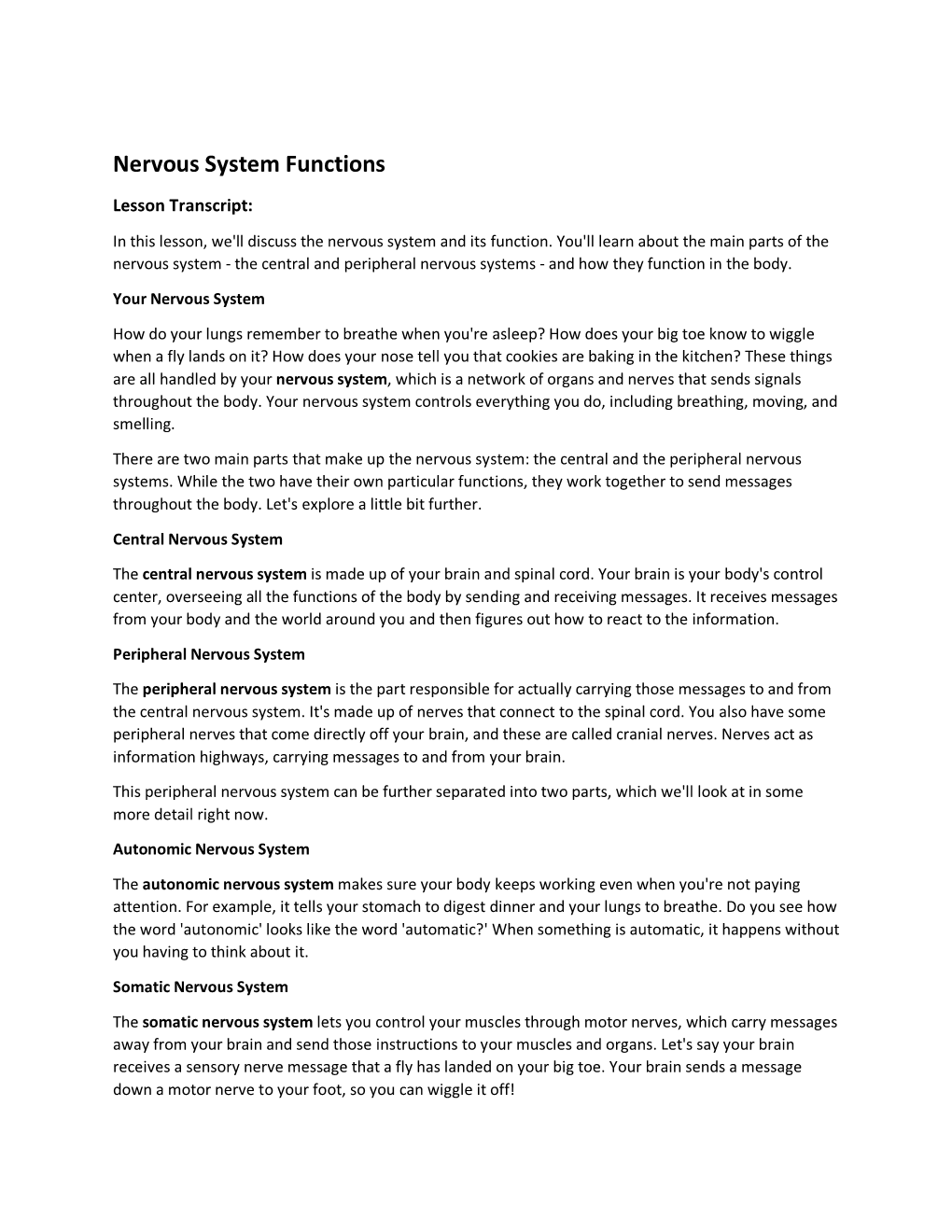 Nervous System Functions