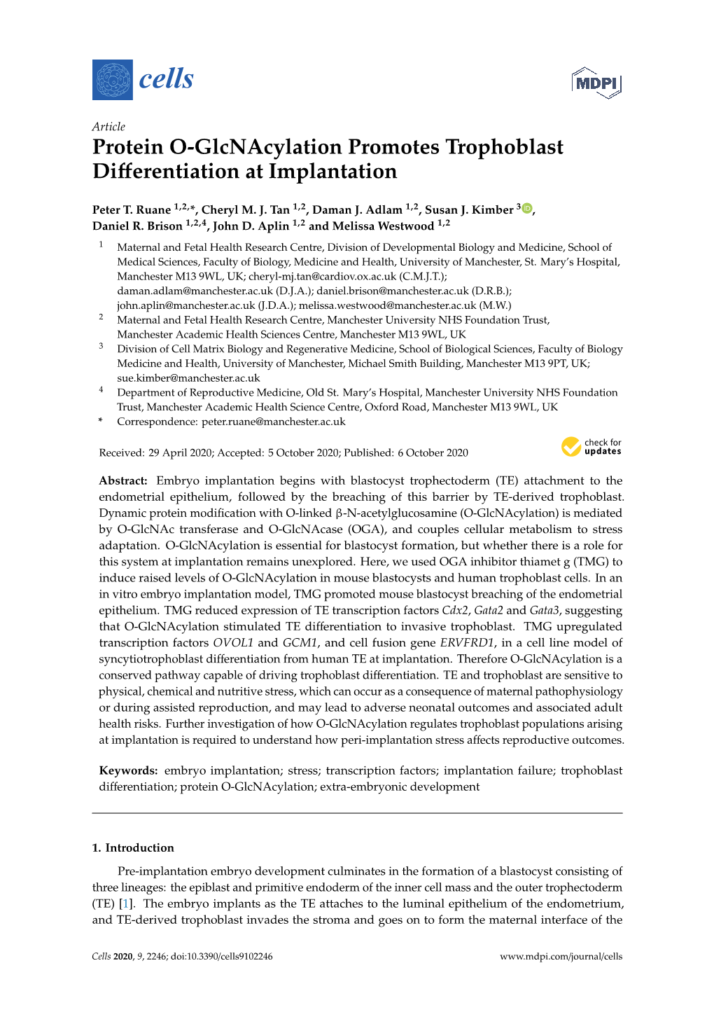 Protein O-Glcnacylation Promotes Trophoblast Differentiation At