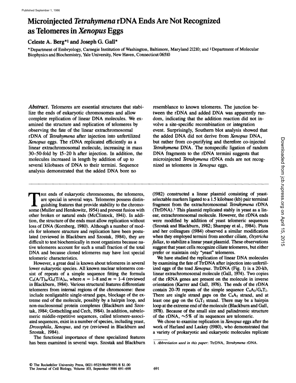 Microinjected Tetrahymena Rdna Ends Are Not Recognized As