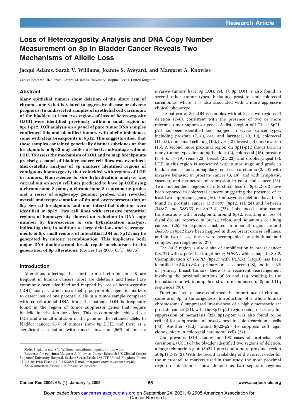 Loss of Heterozygosity Analysis and DNA Copy Number Measurement on 8P in Bladder Cancer Reveals Two Mechanisms of Allelic Loss