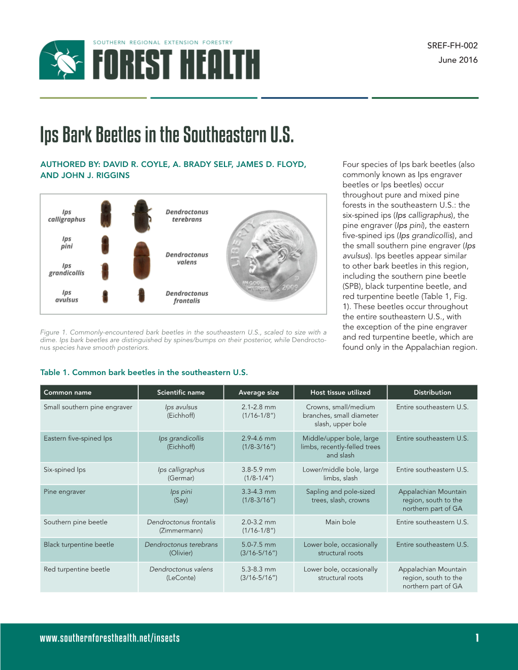 Ips Bark Beetles in the Southeastern U.S