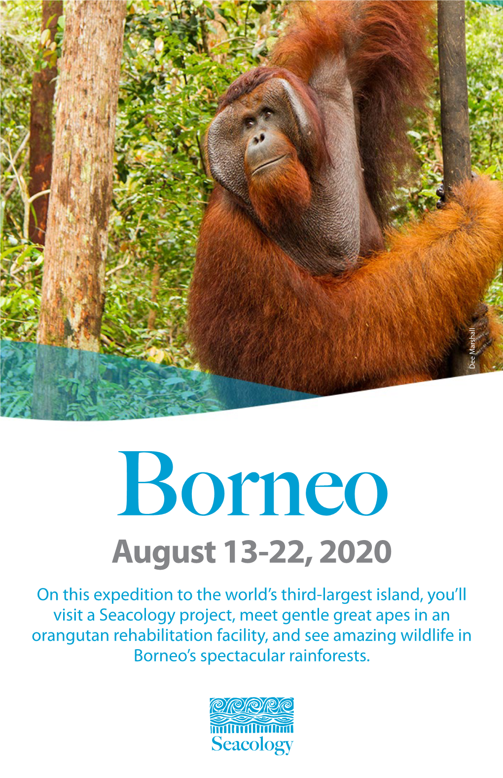 Visit Exotic Borneo